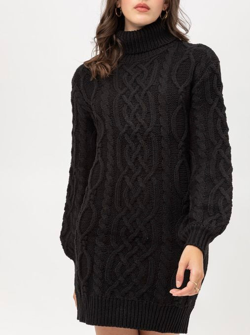 Turtleneck Sweater Dress in Onyx