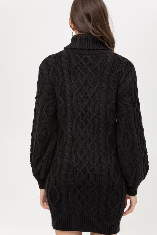 Turtleneck Sweater Dress in Onyx